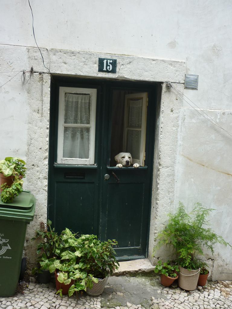 2010_05_Lisbon (216).JPG